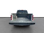2023 Ford F-150 SuperCrew Cab 4WD Pickup for sale #M25F1530B - photo 24