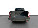 2017 Ford F-250 Crew Cab 4WD Pickup for sale #M25MU019B - photo 24