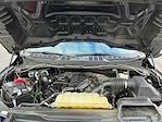 2022 Ford F-150 SuperCrew Cab 4WD Pickup for sale #M25SD169A - photo 22