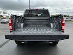 2022 Ford F-150 SuperCrew Cab 4WD Pickup for sale #M25SD169A - photo 23