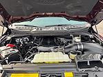 2025 Ford F-150 Regular Cab 4x4 Pickup for sale #M25SD244A - photo 18
