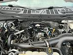 2023 Ford F-150 SuperCrew Cab 4WD Pickup for sale #M26F1063A - photo 25