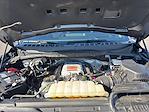 2024 Ford F-150 SuperCrew Cab 4WD Pickup for sale #M26SD092A - photo 25