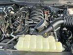 2023 Ford F-150 SuperCrew Cab 4WD Pickup for sale #M26SD123B - photo 25