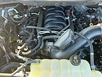 2023 Ford F-150 SuperCrew Cab 4WD Pickup for sale #M26SD155C - photo 25