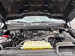 2025 Ford F-150 SuperCrew Cab 4WD Pickup for sale #MA0604 - photo 25
