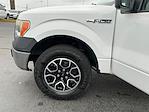 2012 Ford F-150 Regular Cab RWD Pickup for sale #T25SV066A - photo 27