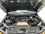 2024 Ford F-150 SuperCrew Cab 4WD Pickup for sale #A530 - photo 16