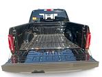 2025 Ford F-150 SuperCrew Cab 4x4 Pickup for sale #N490 - photo 16