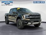 2025 Ford F-150 SuperCrew Cab 4x4 Pickup for sale #N504 - photo 7