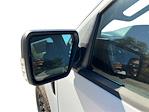 New 2025 Ford F-150 XLT SuperCrew Cab 4x4 Pickup for sale #N562 - photo 19