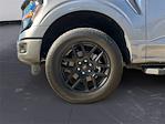 2025 Ford F-150 SuperCrew Cab 4x4 Pickup for sale #N600 - photo 14