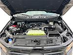 New 2025 Ford F-150 XLT SuperCrew Cab for sale #N619 - photo 16