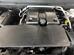 2023 Chevrolet Colorado Crew Cab 4x4 Pickup for sale #C11306G - photo 22