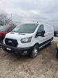 2024 Ford Transit 250 Low Roof AWD Empty Cargo Van for sale #24FG0842 - photo 14