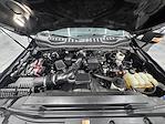 2020 Ford F-250 Crew Cab 4WD Pickup for sale #25FG0469A - photo 11