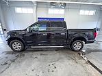 2020 Ford F-150 SuperCrew Cab 4WD Pickup for sale #25FG0656A - photo 8