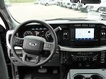 New 2024 Ford F-250 Crew Cab 4x4 Pickup for sale #94F1135 - photo 10