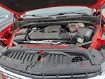 2020 Chevrolet Silverado 1500 Crew Cab RWD Pickup for sale #2A113370 - photo 8