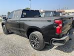 2019 Chevrolet Silverado 1500 Double Cab RWD Pickup for sale #2L254725 - photo 4