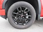 New 2025 GMC Sierra 1500 Elevation Crew Cab 4WD Pickup for sale #63259 - photo 8