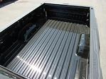 New 2025 GMC Sierra 2500 Pro Regular Cab 4WD Pickup for sale #63500 - photo 20