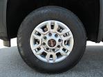 New 2025 GMC Sierra 2500 Pro Regular Cab 4WD Pickup for sale #63500 - photo 8