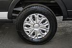 New 2024 Ford Transit 250 Low Roof Empty Cargo Van for sale #F4A39202 - photo 11