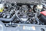 New 2024 Ford Ranger XL SuperCrew Cab Pickup for sale #F4E19175 - photo 24