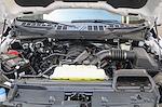 New 2024 Ford F-150 XLT SuperCrew Cab Pickup for sale #F4E42171 - photo 26