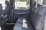 2025 Ford F-150 SuperCrew Cab RWD Pickup for sale #F5B30367 - photo 18