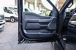 New 2026 Ford F-150 XLT SuperCrew Cab for sale #F6A06423 - photo 22
