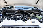 New 2026 Ford Transit 250 Low Roof Empty Cargo Van for sale #F6A25058 - photo 29
