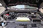 2026 Ford F-150 SuperCrew Cab RWD Pickup for sale #F6D12616 - photo 30