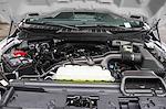 New 2026 Ford F-150 XL Regular Cab for sale #F6D16970 - photo 29