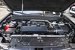 2024 Chevrolet Colorado Crew Cab RWD Pickup for sale #FP313225 - photo 28