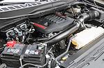 2024 Ford F-150 SuperCrew Cab 4WD Pickup for sale #FPA69818 - photo 31