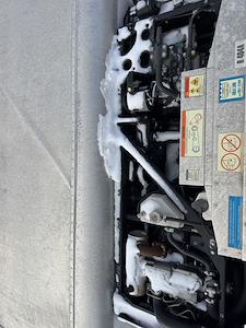 Other/Specialty, Body Only for sale #1262023 - photo 4