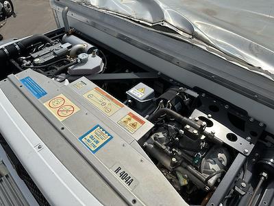 Other/Specialty, Body Only for sale #G1300822 - photo 5