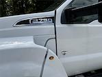 2025 Ford F-750 Regular Cab DRW 4x2 Cab Chassis for sale #6553 - photo 6