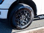 Used 2025 Ford F-150 STX Super Cab for sale #252290A - photo 5