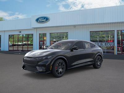 2025 Ford Mustang Mach-E AWD SUV for sale #252309 - photo 1