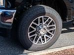 2018 Ford F-250 Crew Cab 4WD Pickup for sale #262013A - photo 5