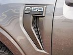 2021 Ford F-150 SuperCrew Cab 4WD Pickup for sale #D5T5589A - photo 9