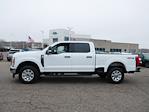 Used 2024 Ford F-250 XLT Crew Cab for sale #13677P - photo 4