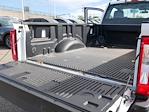 2024 Ford F-350 Regular Cab SRW 4WD Plow Truck for sale #2493508 - photo 18