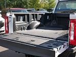 2024 Ford F-350 Regular Cab SRW 4WD Plow Truck for sale #2498377 - photo 17