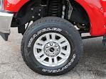 2020 Ford F-350 Crew Cab SRW 4WD Pickup for sale #2510411A - photo 10