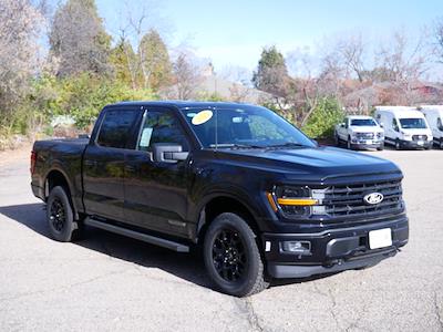 New 2025 Ford F-150 XLT SuperCrew Cab for sale #2574704 - photo 1
