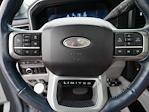 2024 Ford F-450 Crew Cab DRW 4WD Pickup for sale #2583513A - photo 29
